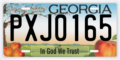 GA license plate PXJ0165