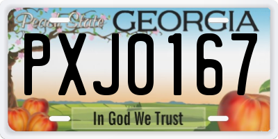 GA license plate PXJ0167