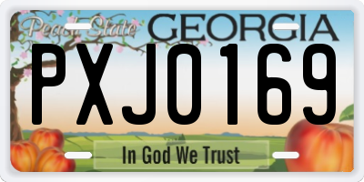 GA license plate PXJ0169