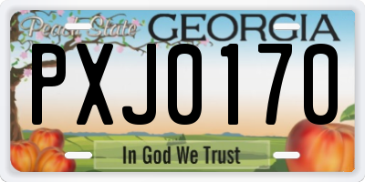 GA license plate PXJ0170
