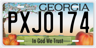 GA license plate PXJ0174