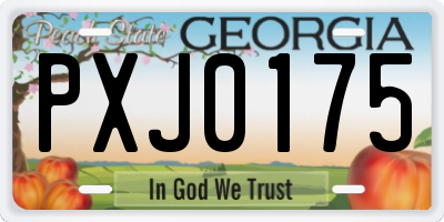 GA license plate PXJ0175