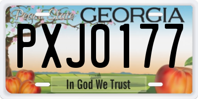 GA license plate PXJ0177