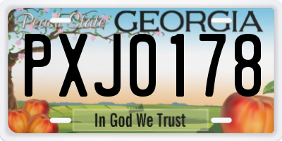 GA license plate PXJ0178