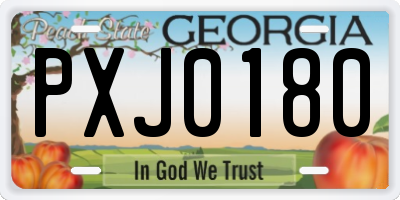 GA license plate PXJ0180