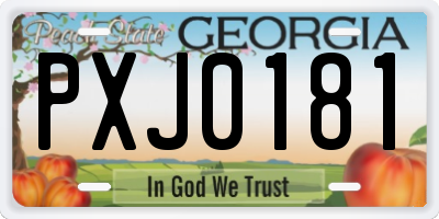 GA license plate PXJ0181