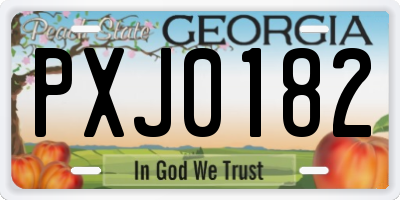 GA license plate PXJ0182