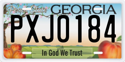 GA license plate PXJ0184