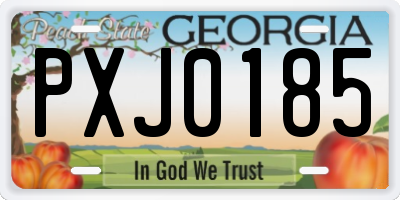 GA license plate PXJ0185