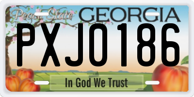 GA license plate PXJ0186