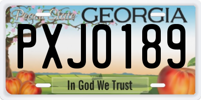 GA license plate PXJ0189