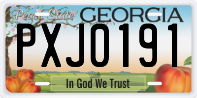 GA license plate PXJ0191
