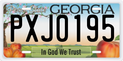 GA license plate PXJ0195