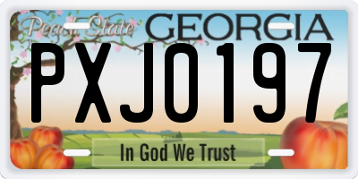 GA license plate PXJ0197