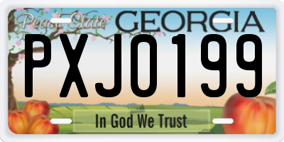 GA license plate PXJ0199