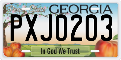 GA license plate PXJ0203