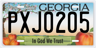 GA license plate PXJ0205