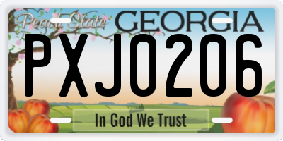 GA license plate PXJ0206