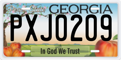 GA license plate PXJ0209