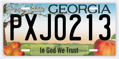 GA license plate PXJ0213
