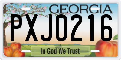 GA license plate PXJ0216