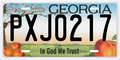 GA license plate PXJ0217