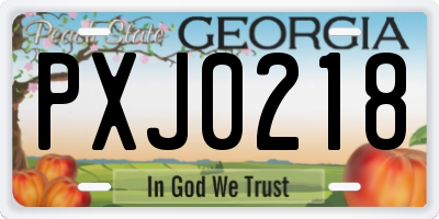 GA license plate PXJ0218