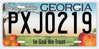 GA license plate PXJ0219