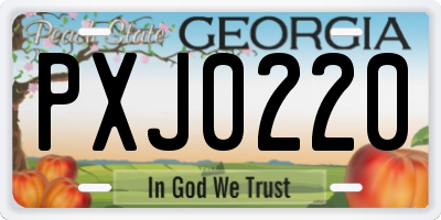 GA license plate PXJ0220