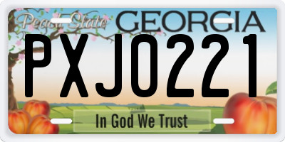 GA license plate PXJ0221
