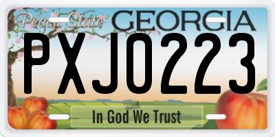 GA license plate PXJ0223