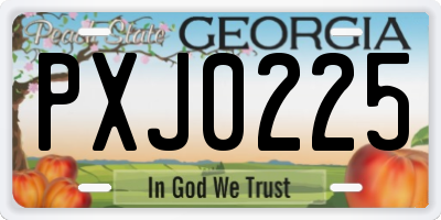 GA license plate PXJ0225