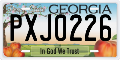 GA license plate PXJ0226
