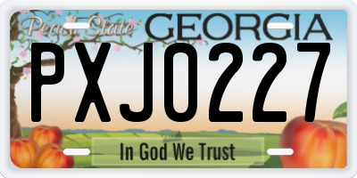 GA license plate PXJ0227