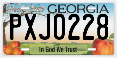 GA license plate PXJ0228