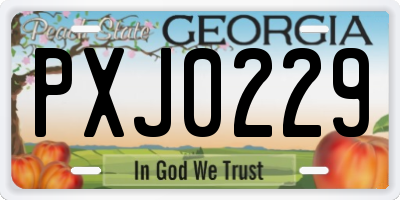 GA license plate PXJ0229