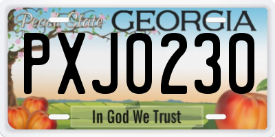 GA license plate PXJ0230