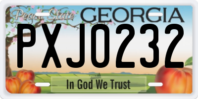 GA license plate PXJ0232