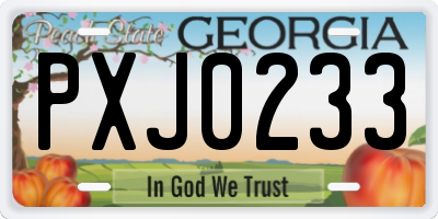 GA license plate PXJ0233