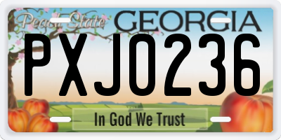 GA license plate PXJ0236