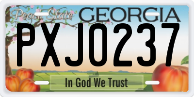 GA license plate PXJ0237