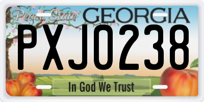GA license plate PXJ0238