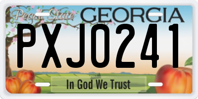 GA license plate PXJ0241
