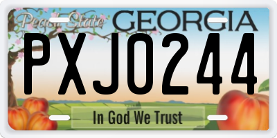 GA license plate PXJ0244