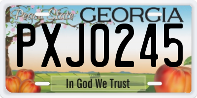 GA license plate PXJ0245