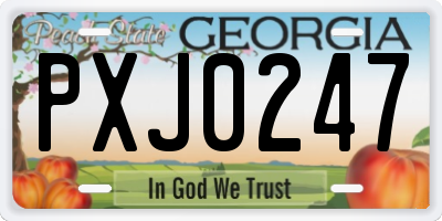 GA license plate PXJ0247