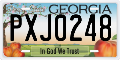 GA license plate PXJ0248