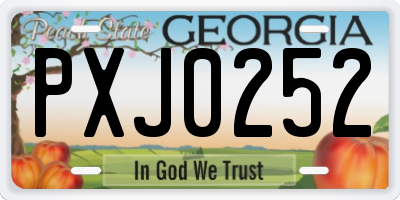 GA license plate PXJ0252