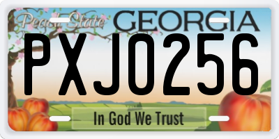 GA license plate PXJ0256