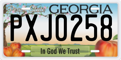GA license plate PXJ0258